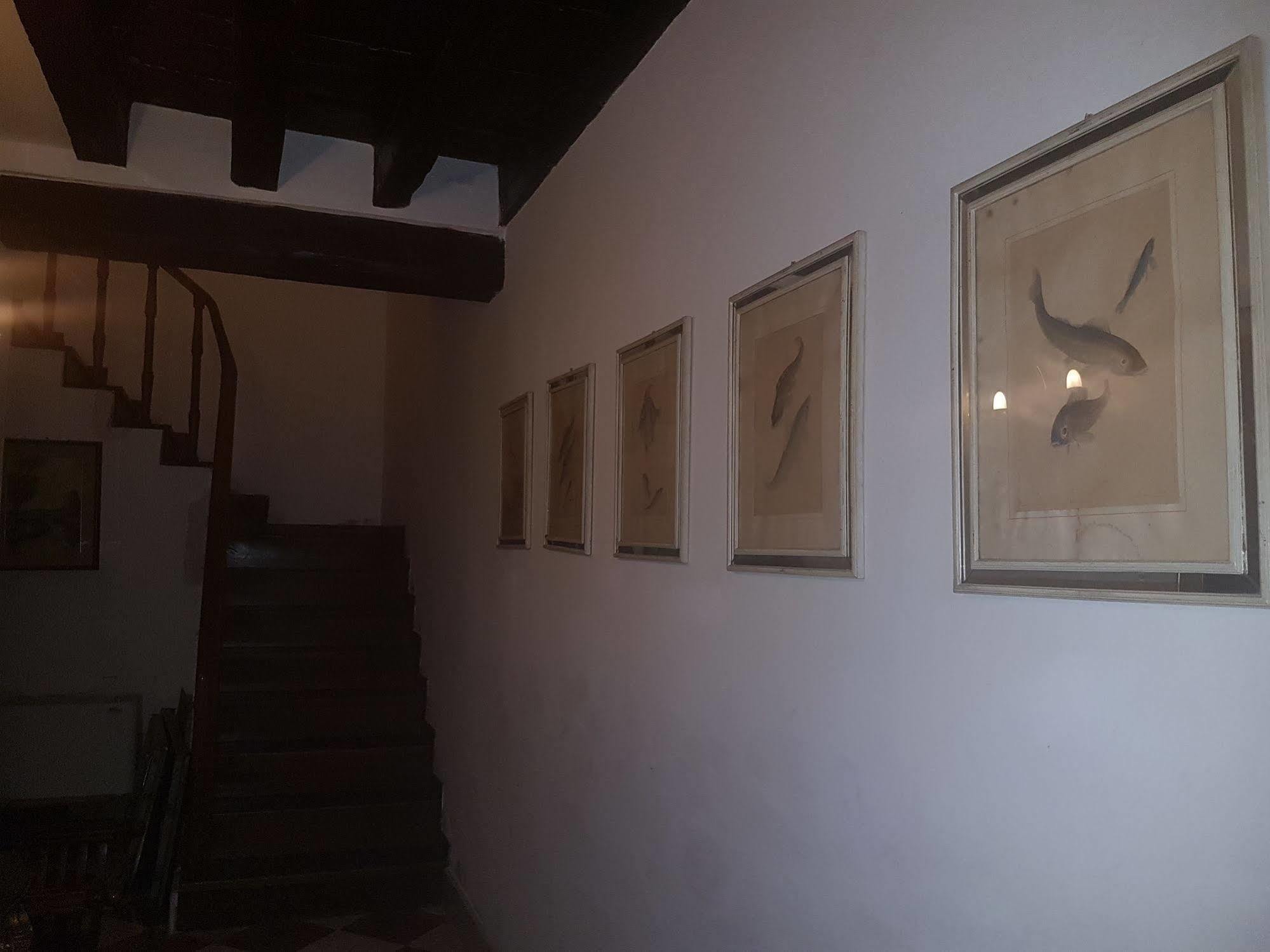Casa Arte Hotel Venedig Eksteriør billede